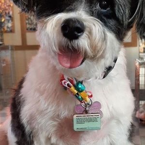 Meet your Posher, Donald